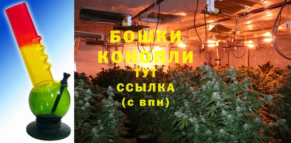 гашик Вязьма