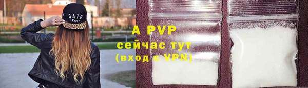 гашик Вязьма