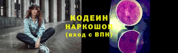 гашик Вязьма