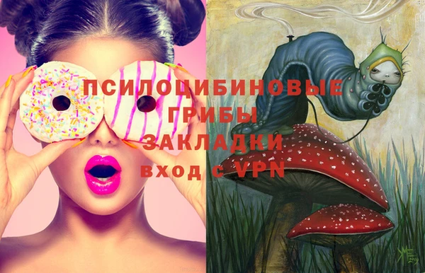 метадон Вяземский